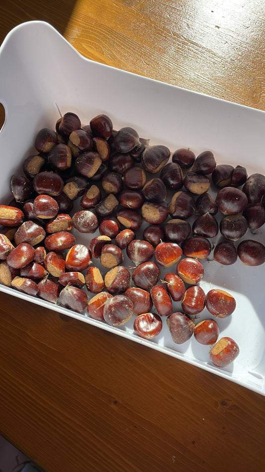 3 percorsi per trovare castagne 🌰 in val d’ossola con bambini