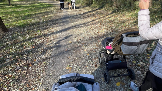 Da Mergozzo a Ornavasso Apassodimamma con bimbo in passeggino