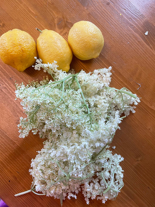 Un Tesoro di Primavera da Preparare Insieme: lo Sciroppo di Sambuco Fatto in Casa!