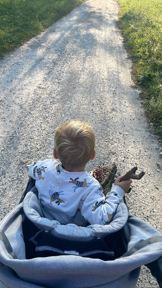 Un Bosco Magico a Portata di Ruote: L'Avventura al Bosco Tenso