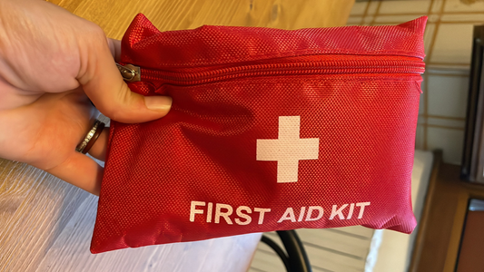 Perche' e' importante avere sempre dietro il kit di primo soccorso durante i trekking con bambini?