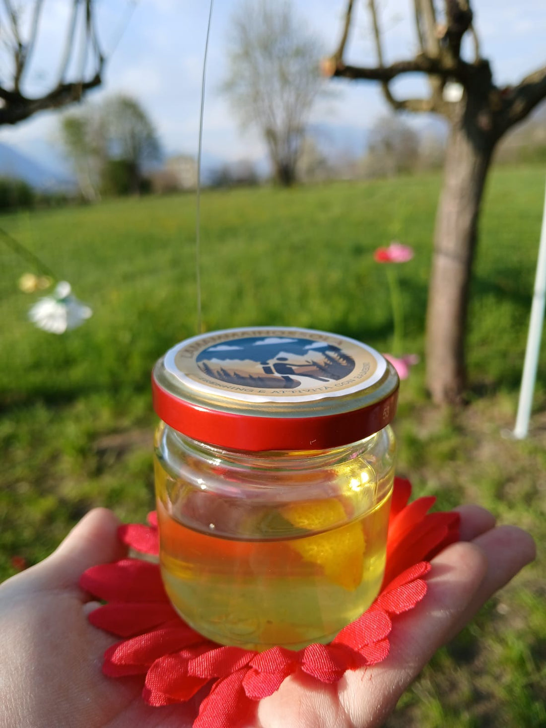 Sole in Vasetto: Creiamo Insieme il Dolce Miele di Tarassaco per i Nostri Bimbi (e non solo!)