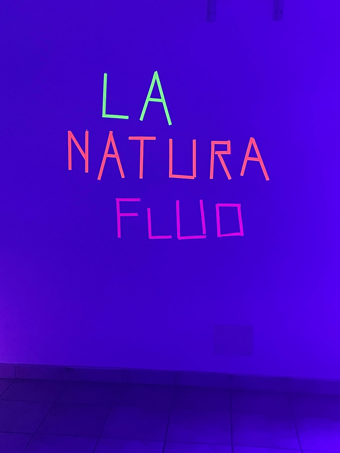 Natura Fluo: Quando la Prateria di Domodossola si è Accesa di Magia e Colore