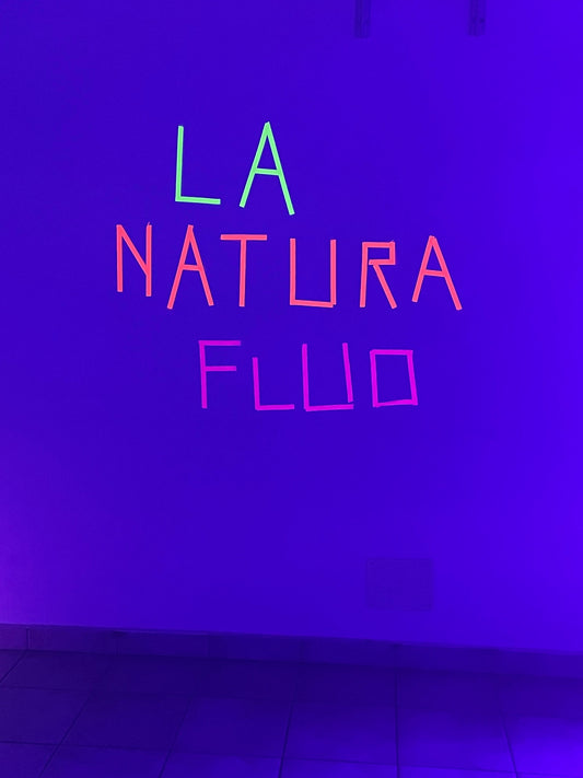 Natura Fluo: Quando la Prateria di Domodossola si è Accesa di Magia e Colore