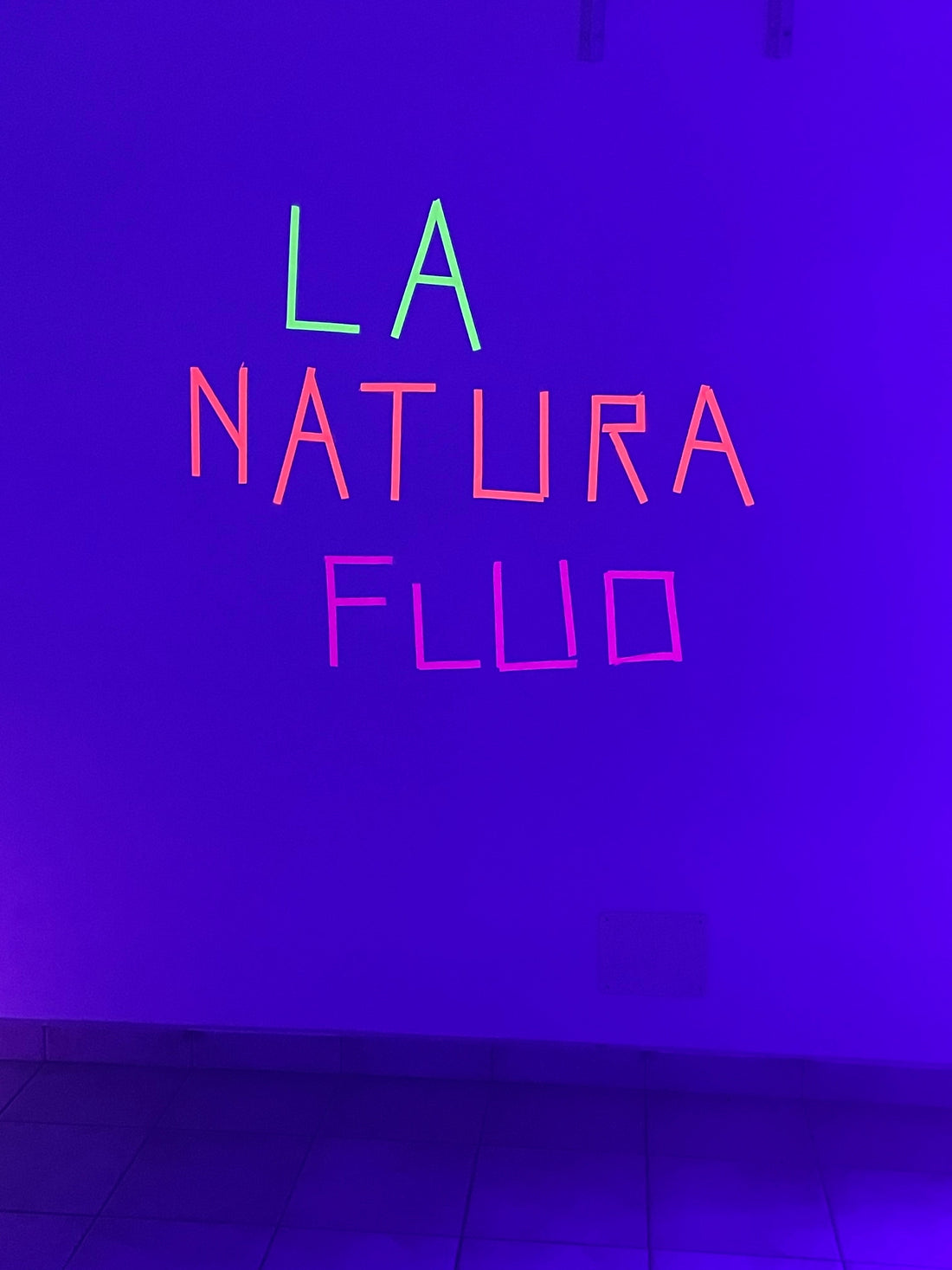 Natura Fluo: Quando la Prateria di Domodossola si è Accesa di Magia e Colore