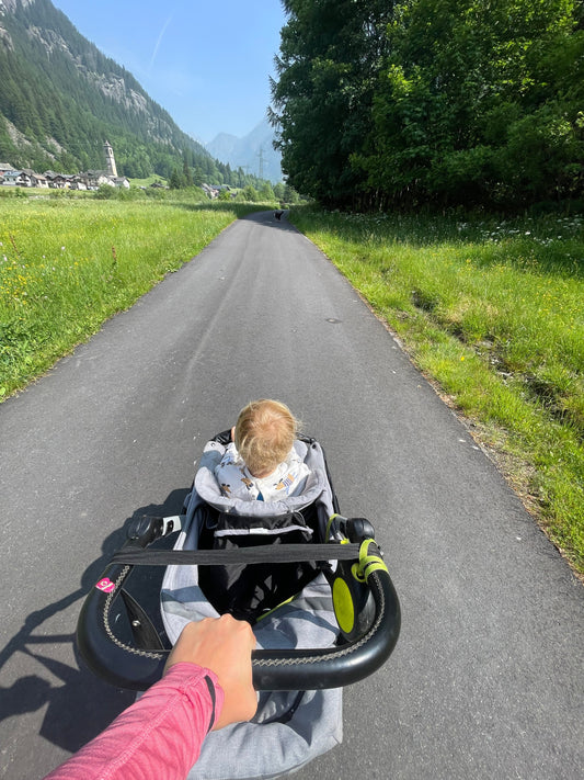 Avventura in Val Formazza con Passeggino: Panorami, Animali e Sapori al Sosstwald!