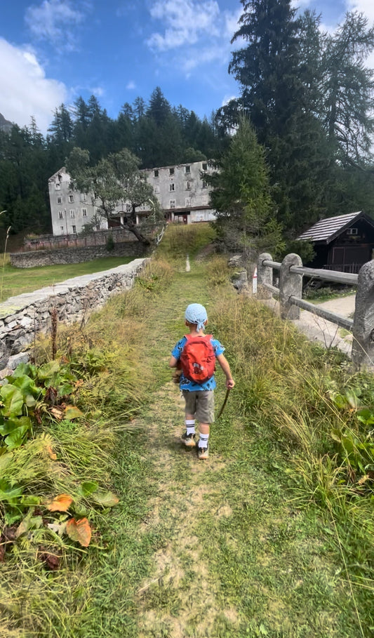 Giardino Alpino Artexplora all’Alpe Devero tra fiori e natura