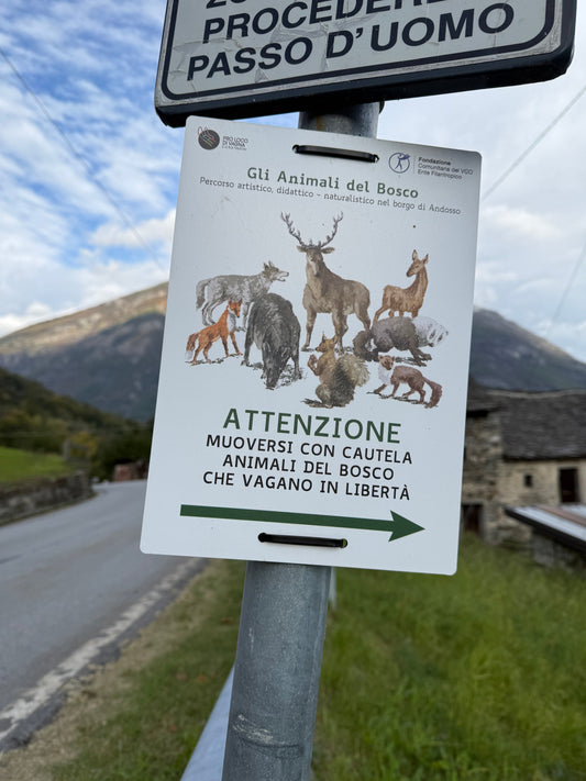 Andosso con i bambini: la nostra avventura tra gli animali del bosco a Domodossola