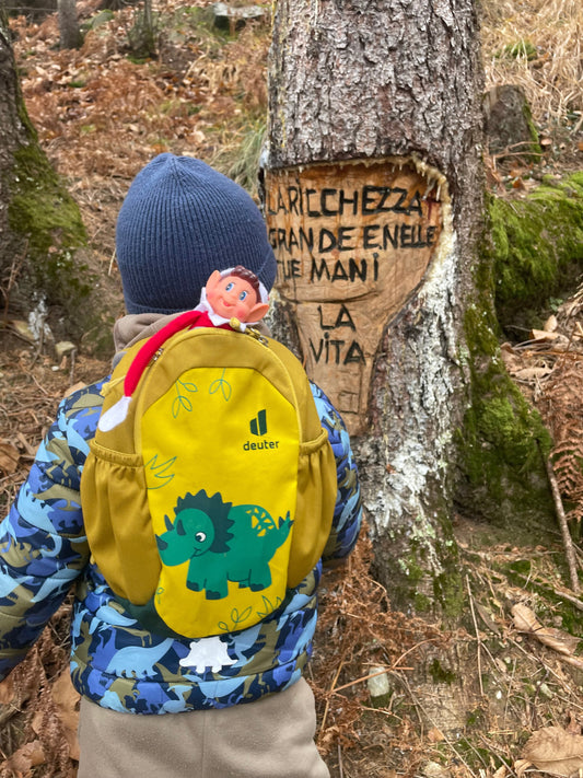🌲 A Caccia del Presepe nel Bosco: Avventura Magica all'Alpe Scezza (Crevoladossola) 👶