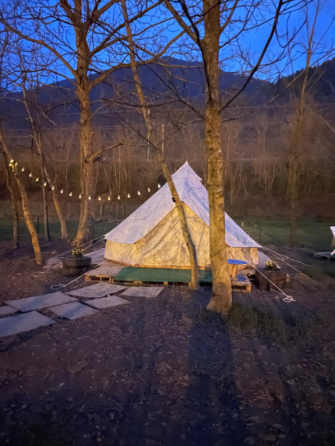 🌿 Avventure nel campo base