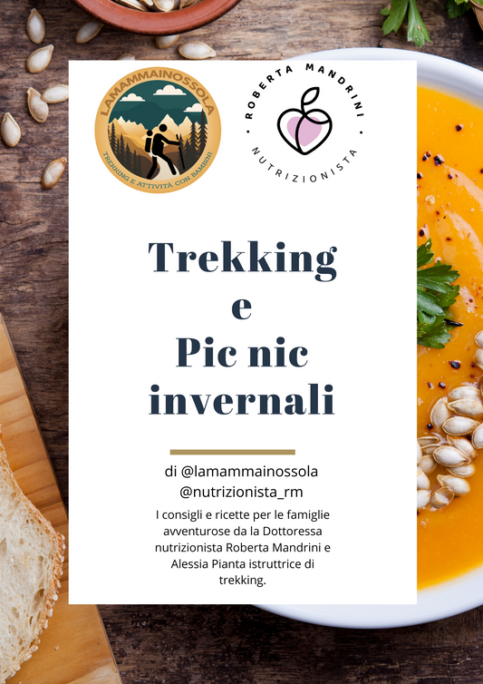 Guida trekking e pic nic invernali